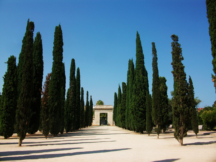 Avenida de cipreses de los Jardines del Real en Exposició