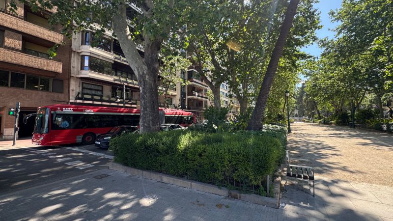 Paseo arbolado y ambiente urbano en la Gran Vía de València