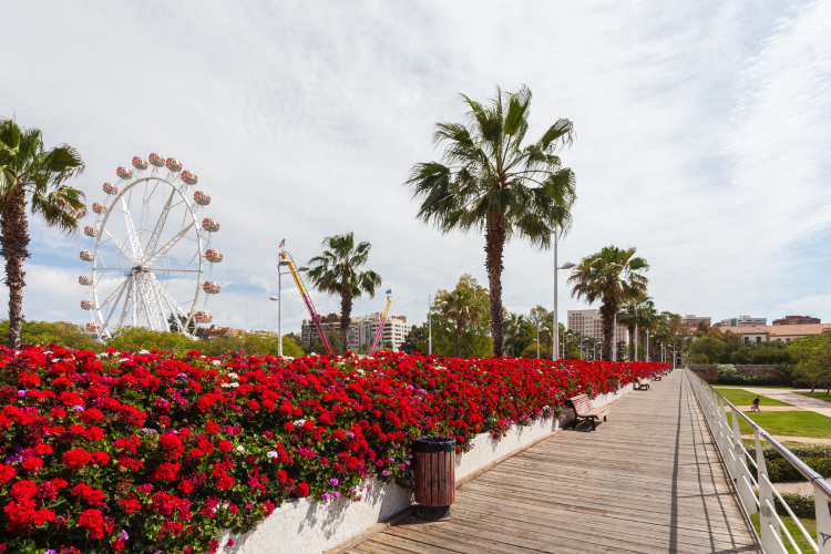 Puente de las Flores con jardineras florales en Mestalla